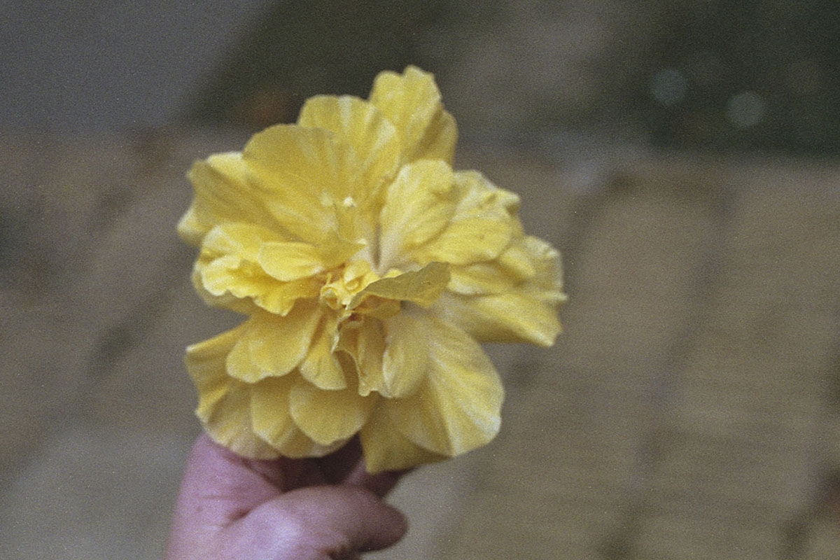 https://nataliafrancisca.com:443/files/gimgs/th-23_30.jpg